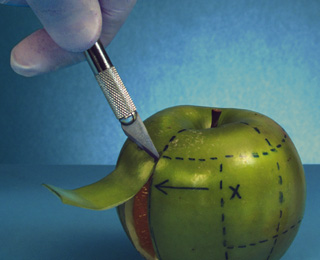 在线短信轰炸平台